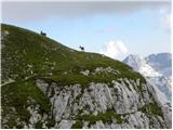 Sella Nevea - Foronon del Buinz / Špik nad Nosom